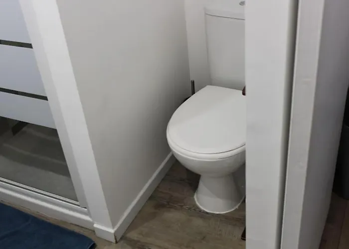 Studio Avec Mezzanine Pour 4 * Royat